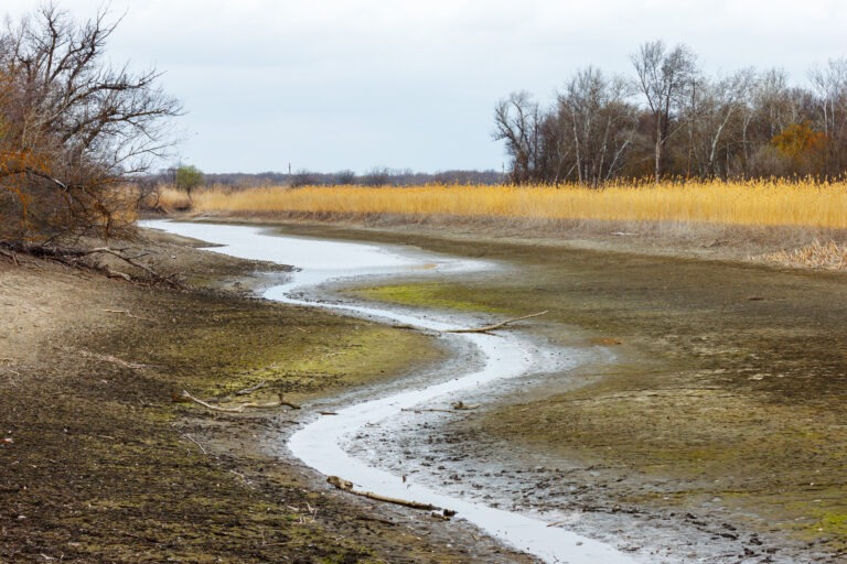N.J. drought worsens again, with several counties now in a rare ‘extreme’ drought [NJ.com]