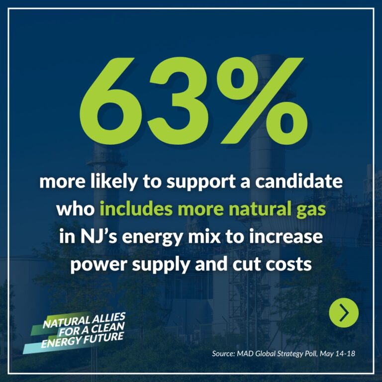 New Jersey Voters Prioritize Affordability, Reliability Over Climate in Energy Debate, New Survey Reveals