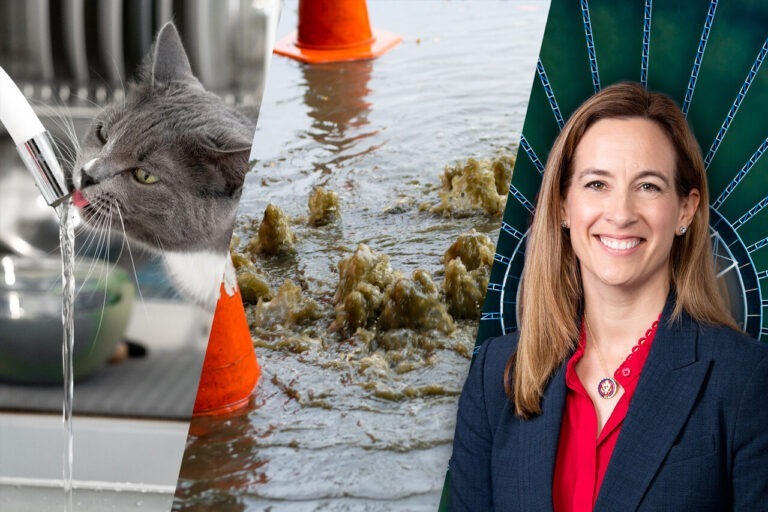Bridge Over Troubled Water – Water Priorities for Governor-Elect Sherrill