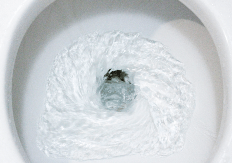 Poop there it is! 