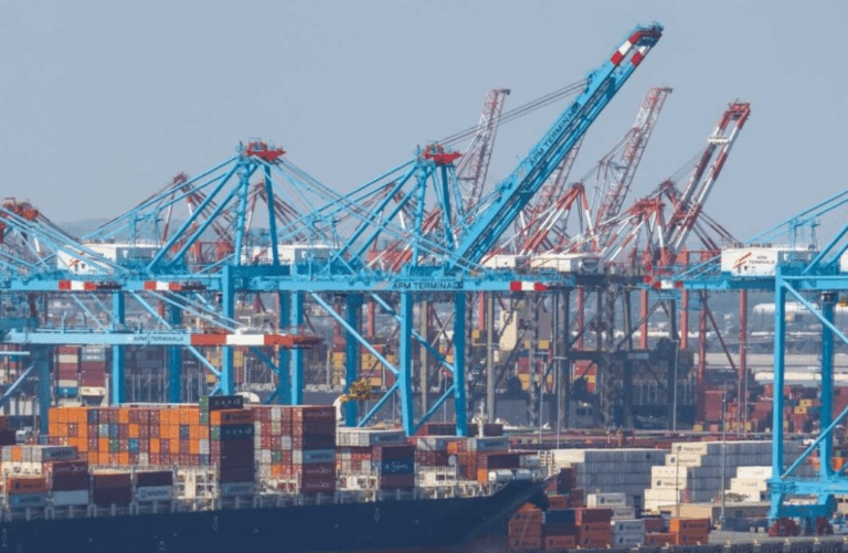 Cargo traffic rose at Port of NY and NJ in 2025 despite tariff uncertainty [ROI-NJ]
