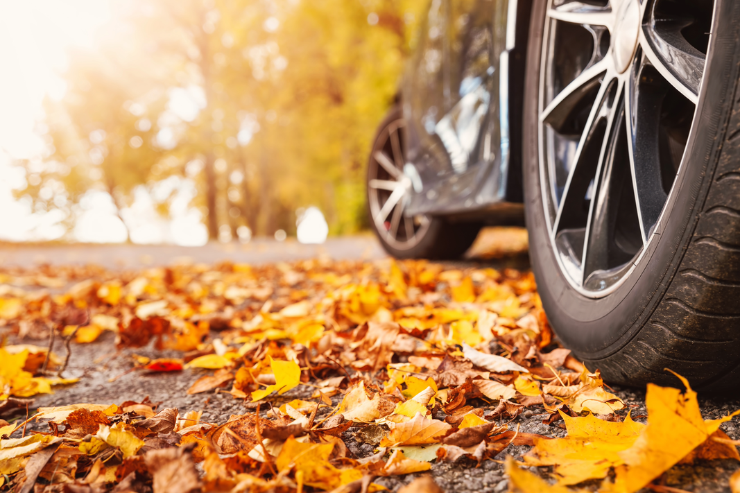 There is a scenic fall drive near you in New Jersey